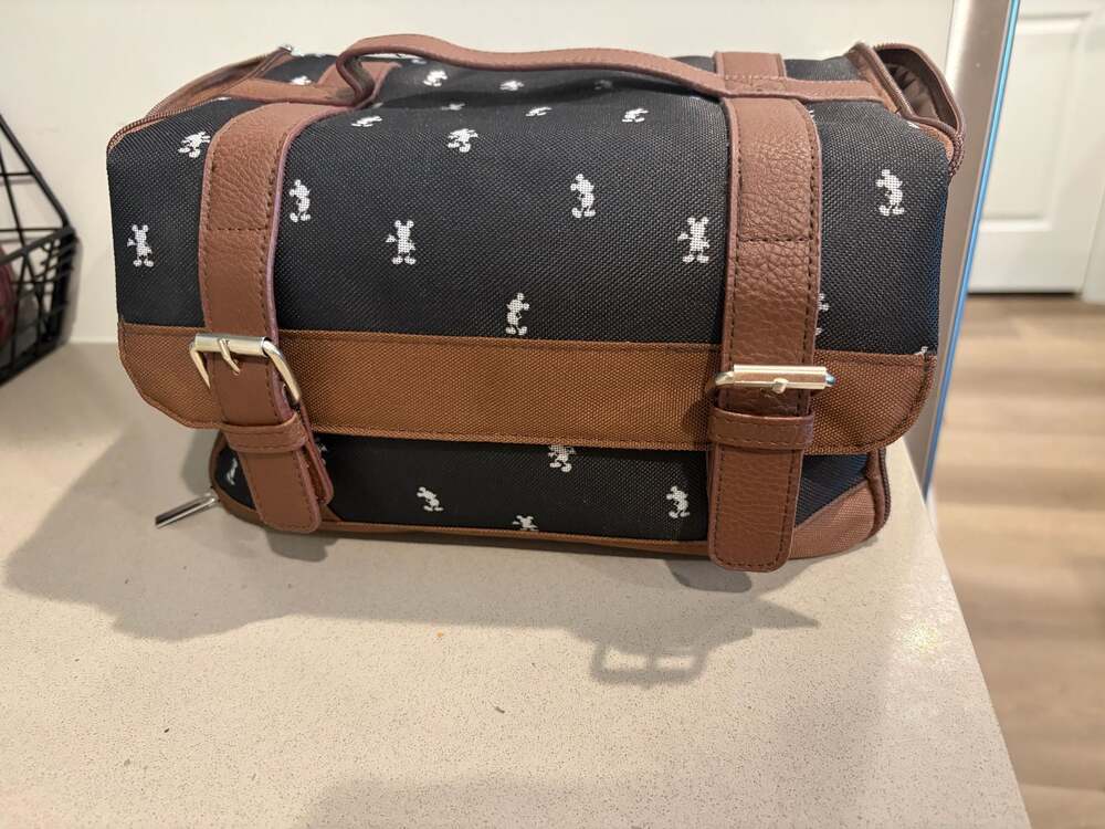 Mickey Mouse Picnic Time Pranzo Insulated Lunch Bag